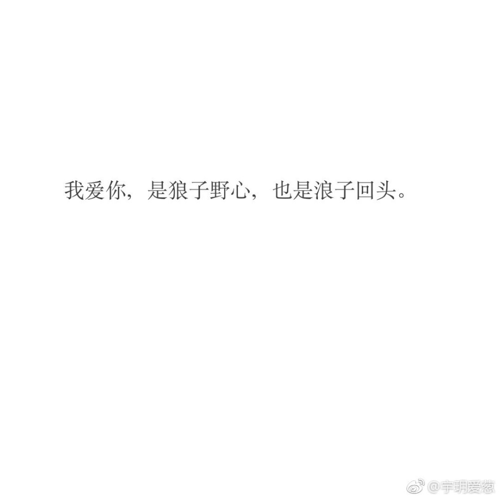 從《二哈和他的白貓師尊》到愛(ài)蔻 情感的鏡像與文化的共情